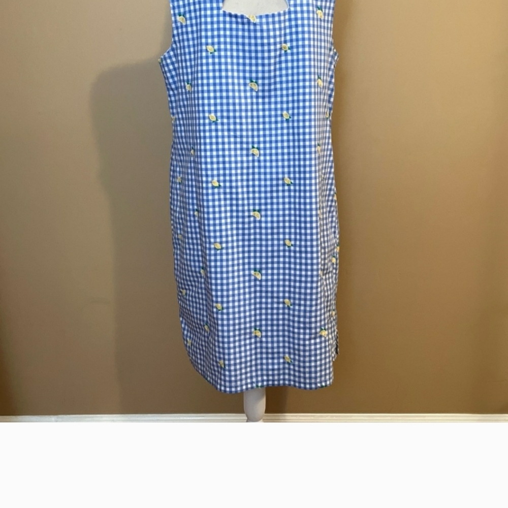 Kim Rogers Blue Gingham Lemon Embroidered Sleeveless Dress sz M - Picture 2 of 8